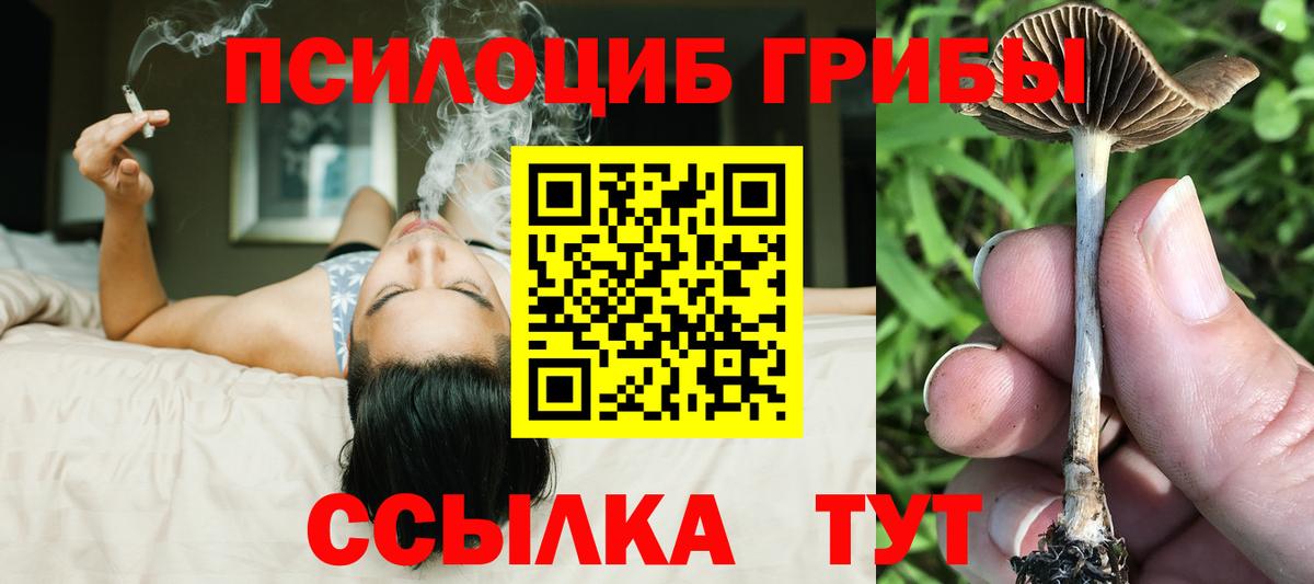 Псилоцибиновые грибы мухоморы Владикавказ